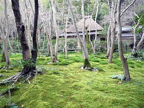 c0009413_16381637.jpg