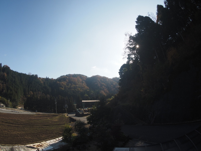 いいお天気！_c0116915_23374129.jpg