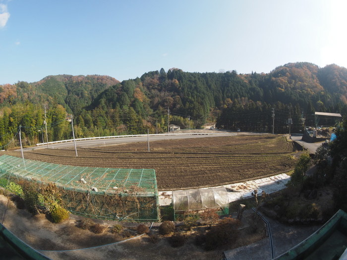 いいお天気！_c0116915_23375426.jpg