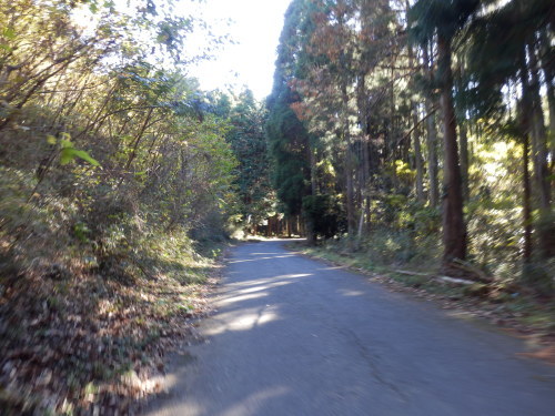 e0341417_06552899.jpg