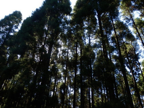e0341417_06563553.jpg