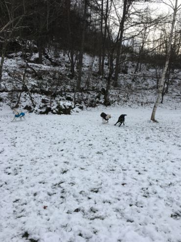 c0114121_22531920.jpg