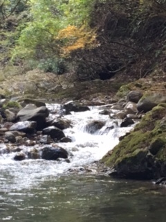 e0131324_21425939.jpg