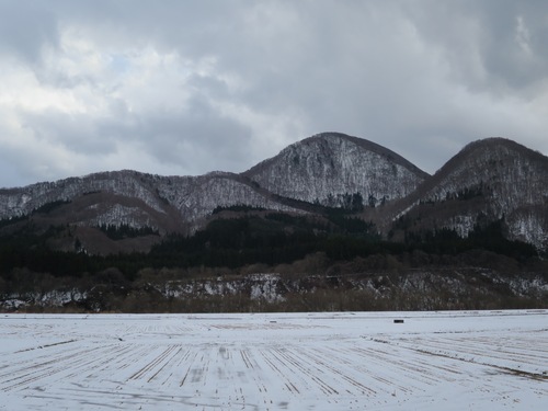 ブナ（Beechの森/世界遺産の白神山地）_e0257524_15452460.jpg