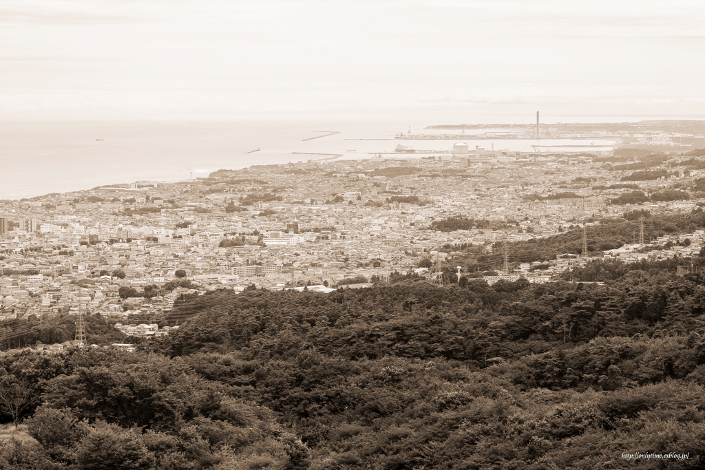 b0181125_08310641.jpg