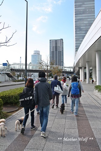 第23回マザーウルフ遠足 横浜レポート_e0191026_18353539.jpg