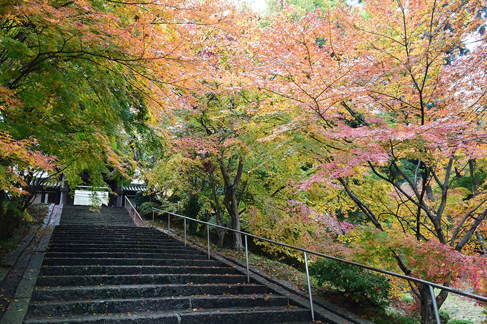 太平記を歩く。　その１５９　「景徳山安国寺」　京都府綾部市_e0158128_19015391.jpg