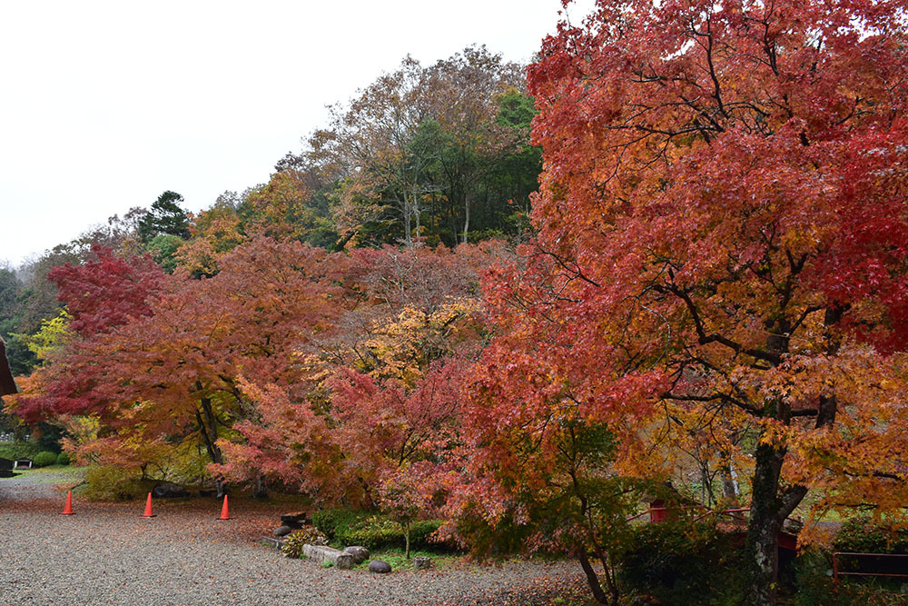 太平記を歩く。　その１５９　「景徳山安国寺」　京都府綾部市_e0158128_19061928.jpg