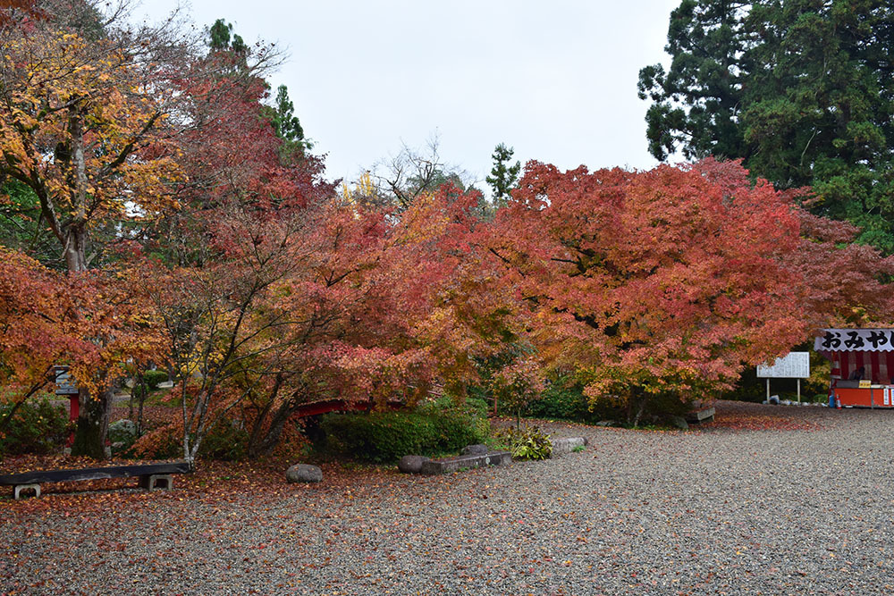 太平記を歩く。　その１５９　「景徳山安国寺」　京都府綾部市_e0158128_19143539.jpg