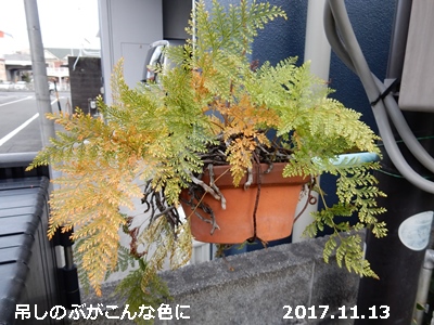 e0033229_18364093.jpg