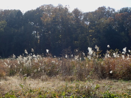 c0353632_07181172.jpg