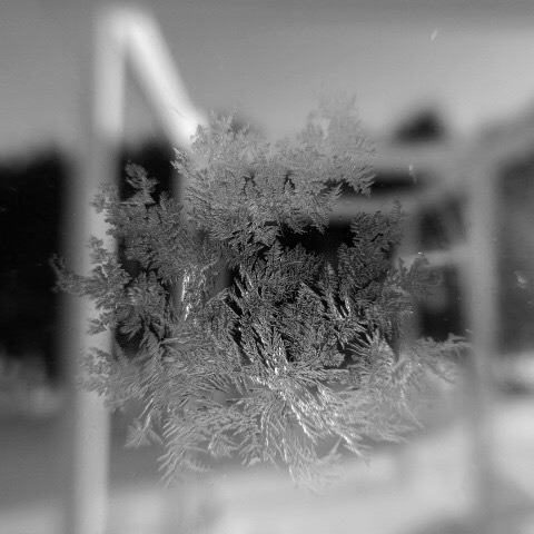 a0329935_10252881.jpeg