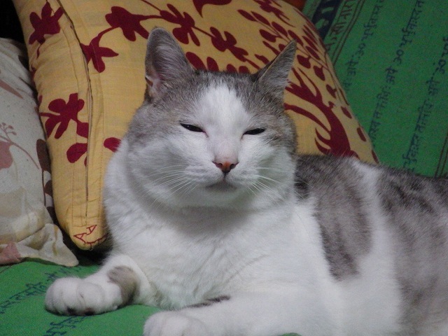 a0337237_17423519.jpg