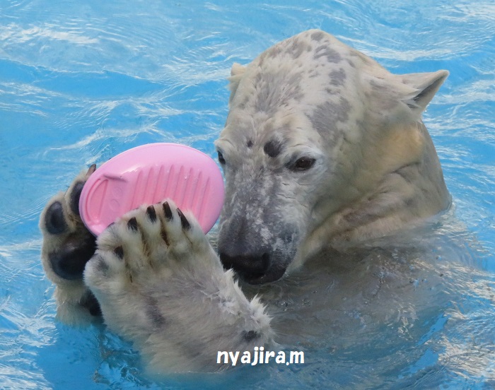 f0002743_20127.jpg