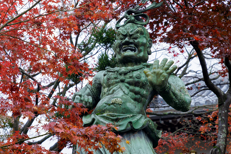 京都の紅葉2017 洛西・正法寺にて_f0155048_2353662.jpg