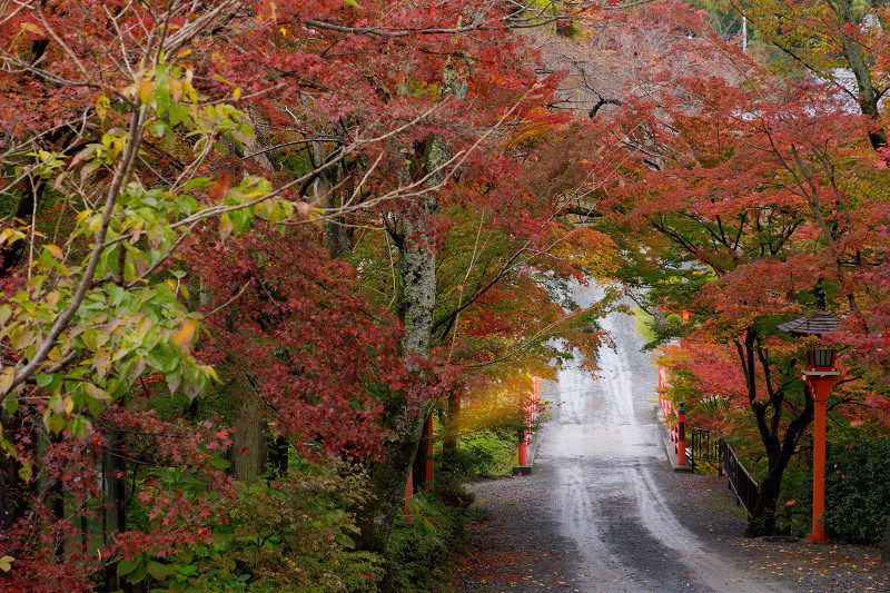 京都の紅葉2017 洛西・正法寺にて_f0155048_2363015.jpg