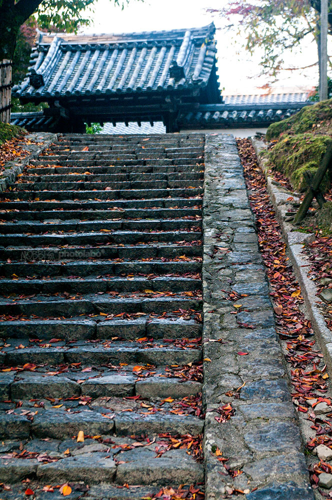 a0134950_20102353.jpg