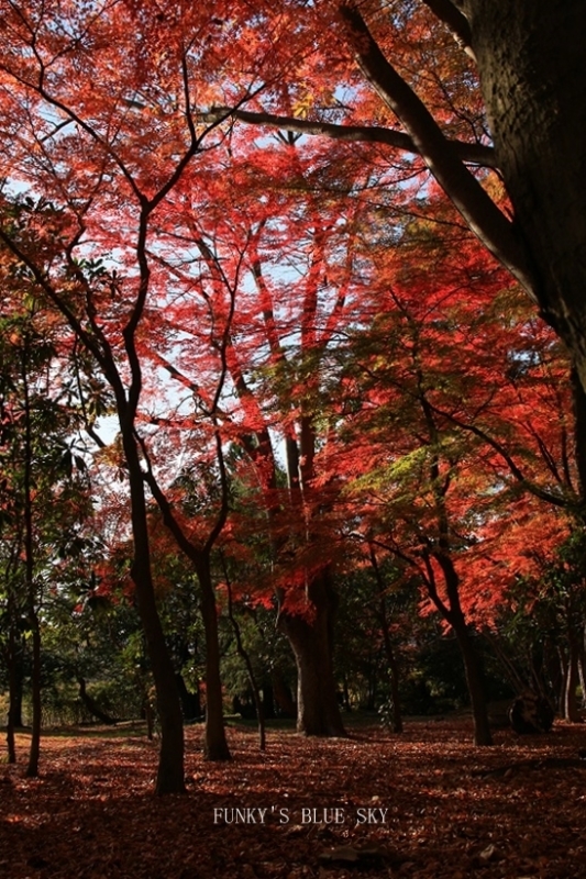 c0145250_10085340.jpg