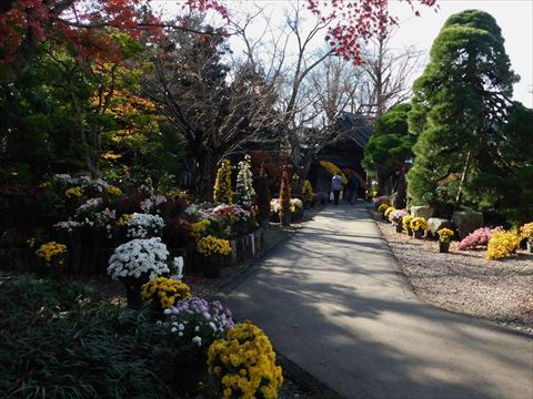 b0220251_19572359.jpg