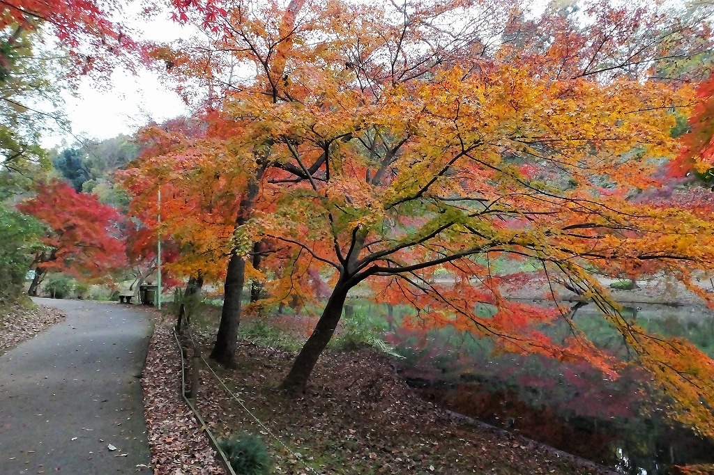 b0236251_14262530.jpg