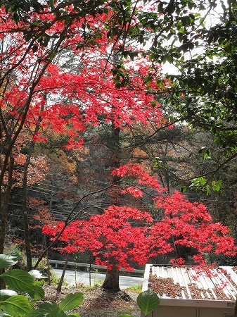 c0327752_16091856.jpg