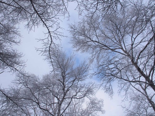 b0335256_14342971.jpg