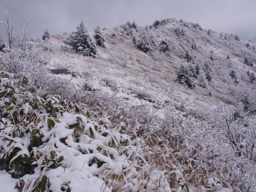 b0335256_19442444.jpg