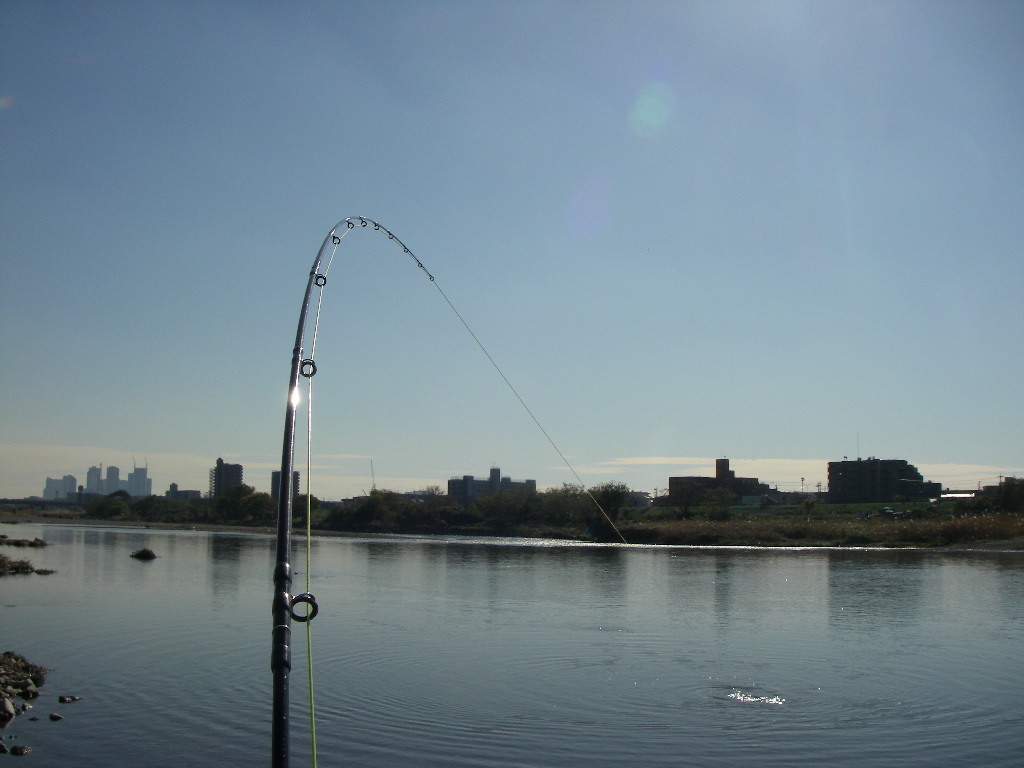 a0130057_00264761.jpg