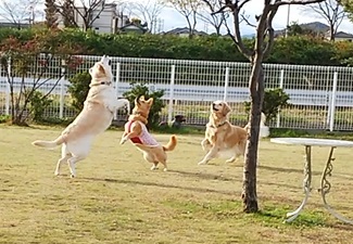 e0200357_01395801.jpg