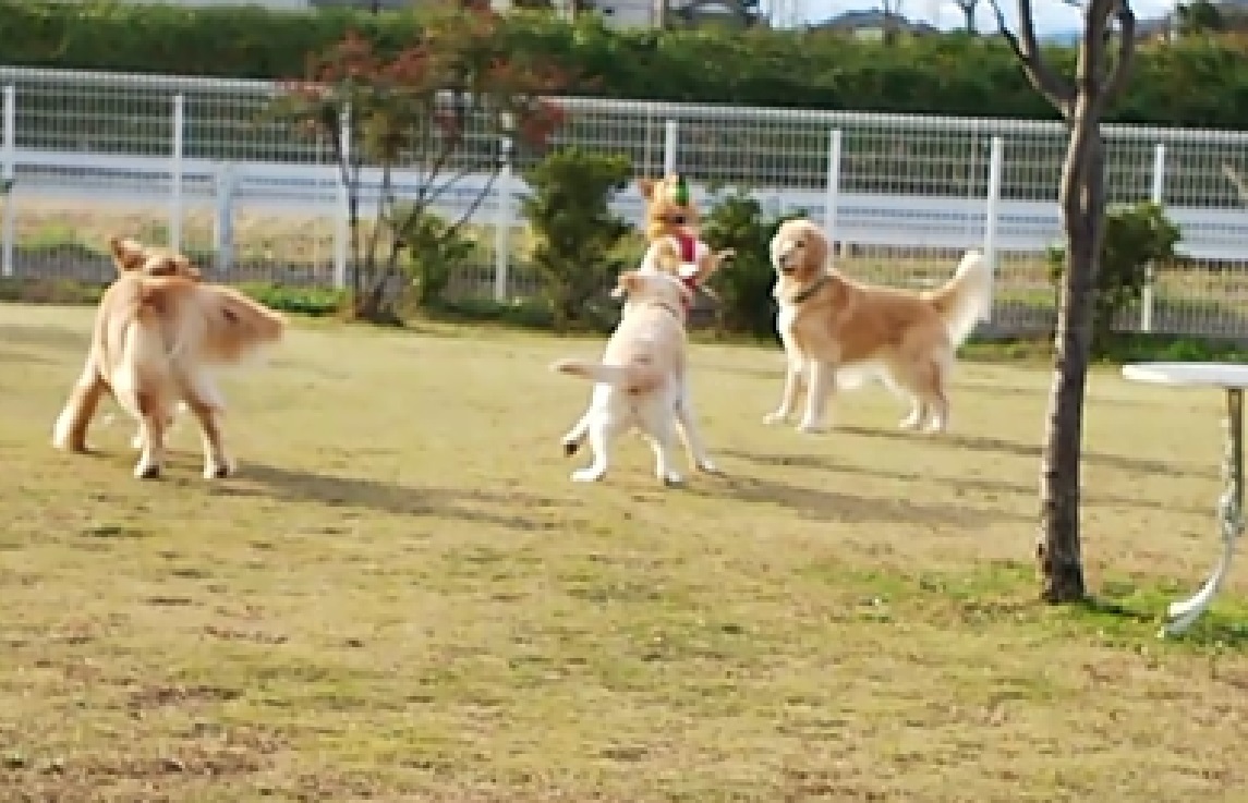 e0200357_01400334.jpg