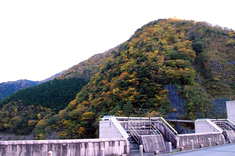 a0167759_21573912.jpg