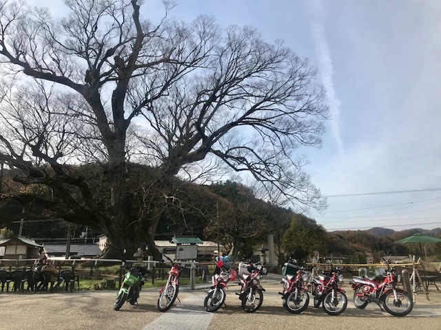 『その１本瀧寺ほんたき山のカフェ編』楽しい原付二種ツーリング♪_d0246961_11535604.jpg