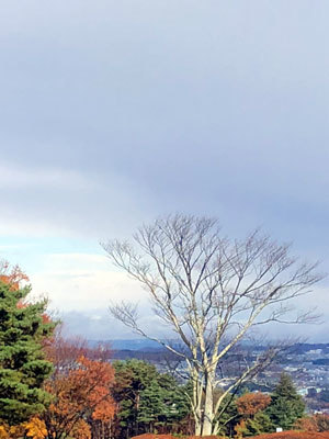 c0050264_22543598.jpg