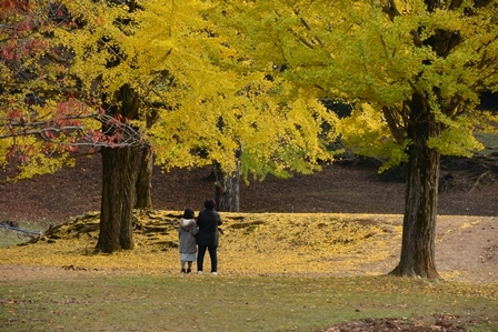 奈良公園散策　　_c0303868_09414673.jpg