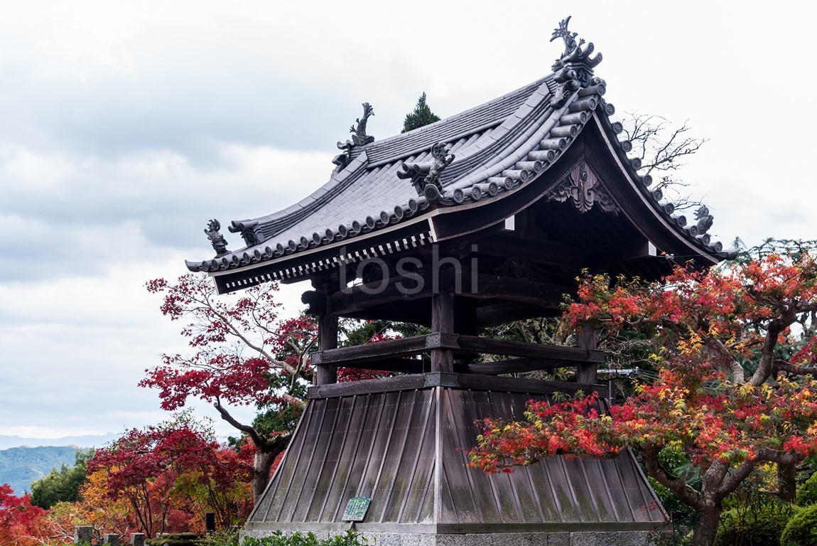 ここもそろそろか　九品寺_c0350572_17473371.jpg