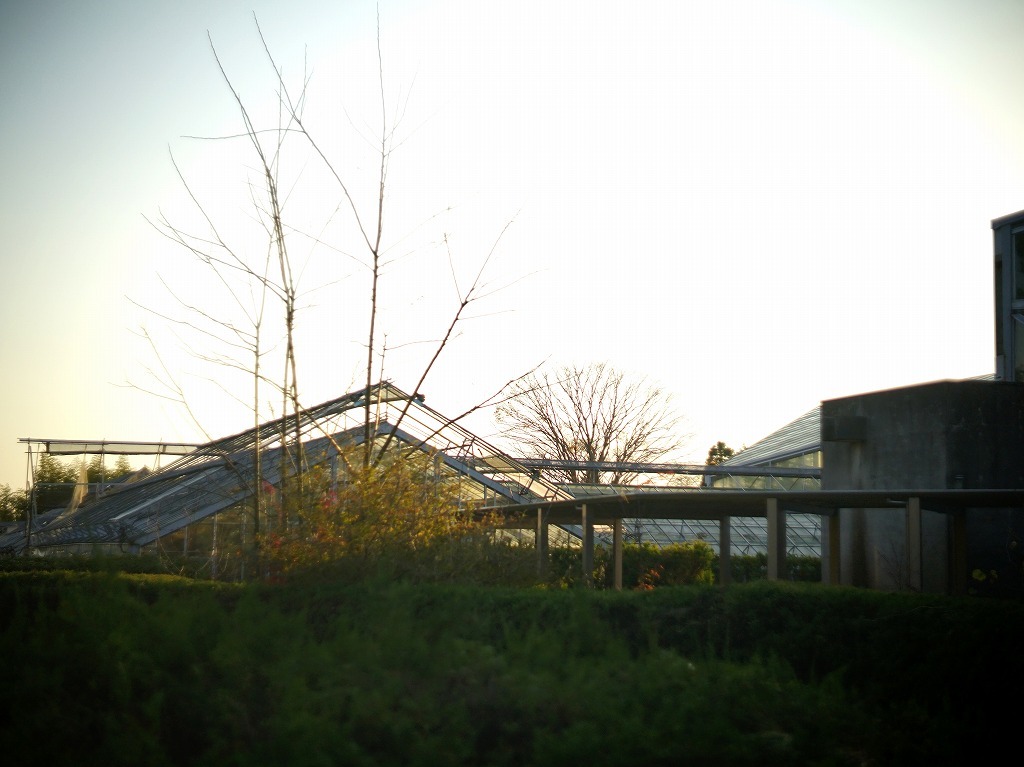c0362972_22310050.jpg