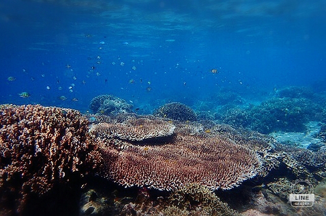 d0363174_18430390.jpg