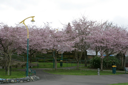 a0315876_09372047.png