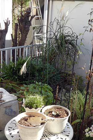 c0152779_10561704.jpg