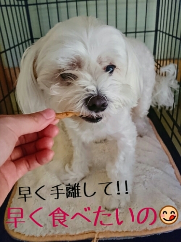 おやつターイム🕒_f0357682_21122380.jpg