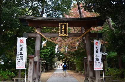 c0229483_1545415.jpg