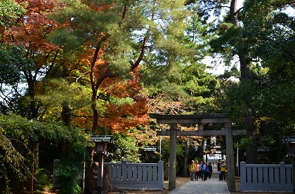 c0229483_1558218.jpg