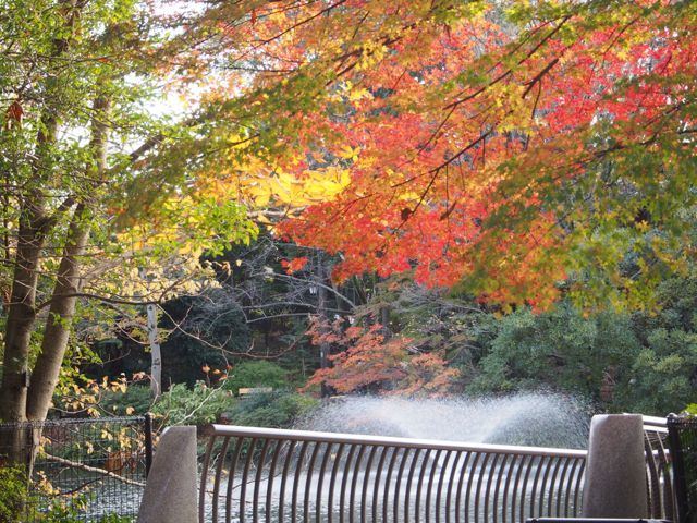 11月のエッセイ 〜 晩秋の街歩き、ホームアンドアウェイ。_f0358090_16384951.jpg