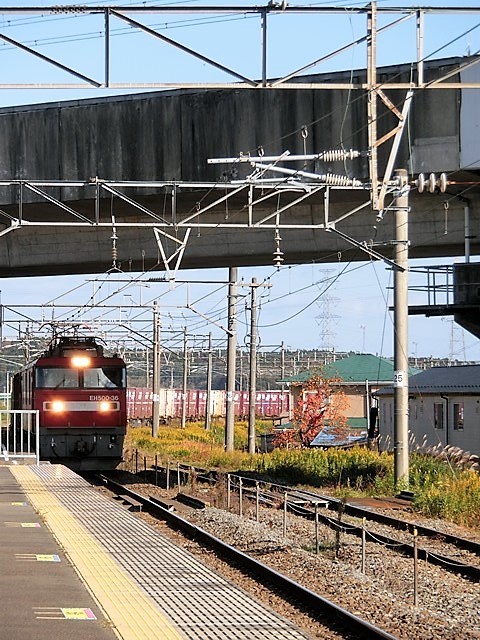 d0181492_20495299.jpg