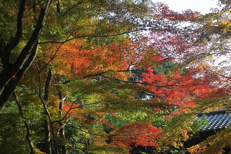 f0374092_17414919.jpg