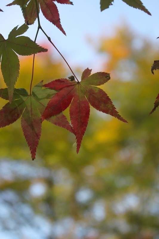 f0374092_18023261.jpg