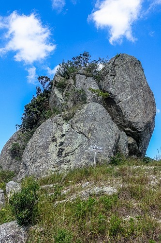 e0176993_07545322.jpg