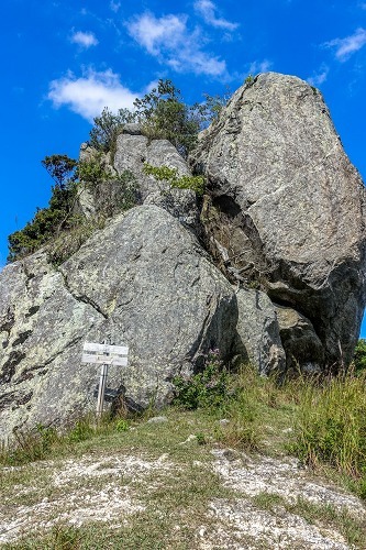 e0176993_07545324.jpg