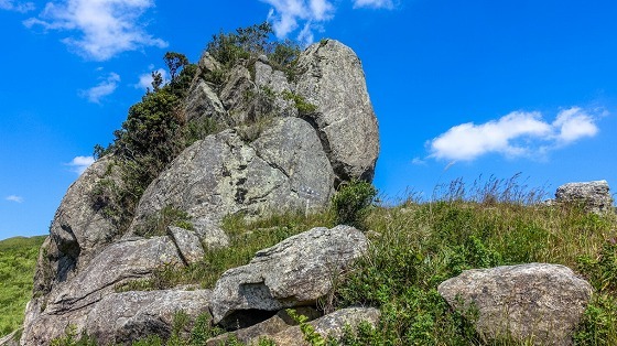 e0176993_07545336.jpg