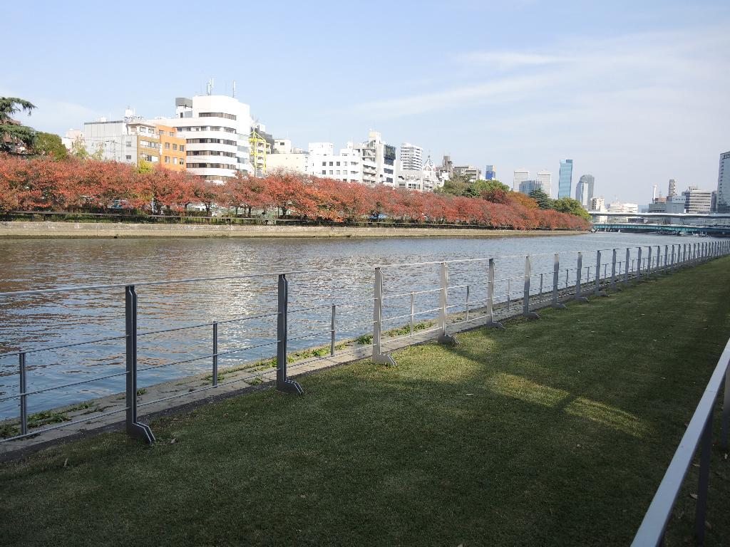 2017年１1月３０にち　沖縄県立工業高等学校関東地区同窓会　ウォーキングその１_d0249595_09244677.jpg